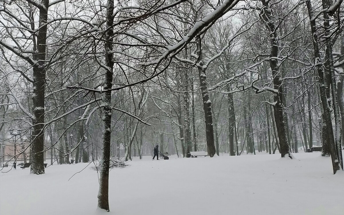 *** - Валентина Береснева