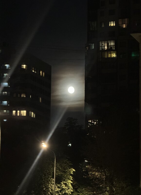 Ночные фонари✨ - Анна Камс Ночные фонари✨ - Анна Камс