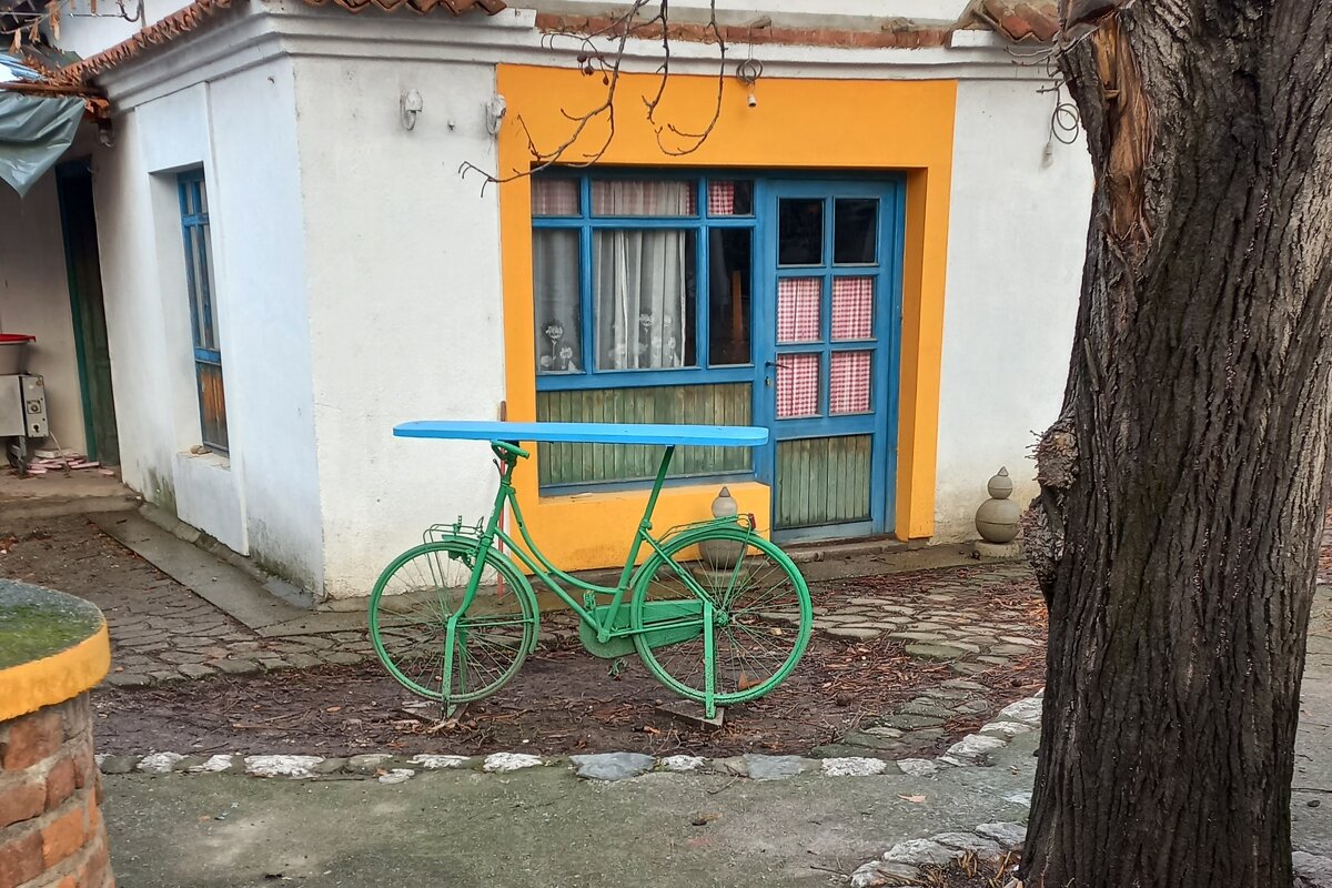 Интересная выдумка хозяина - Милорад 