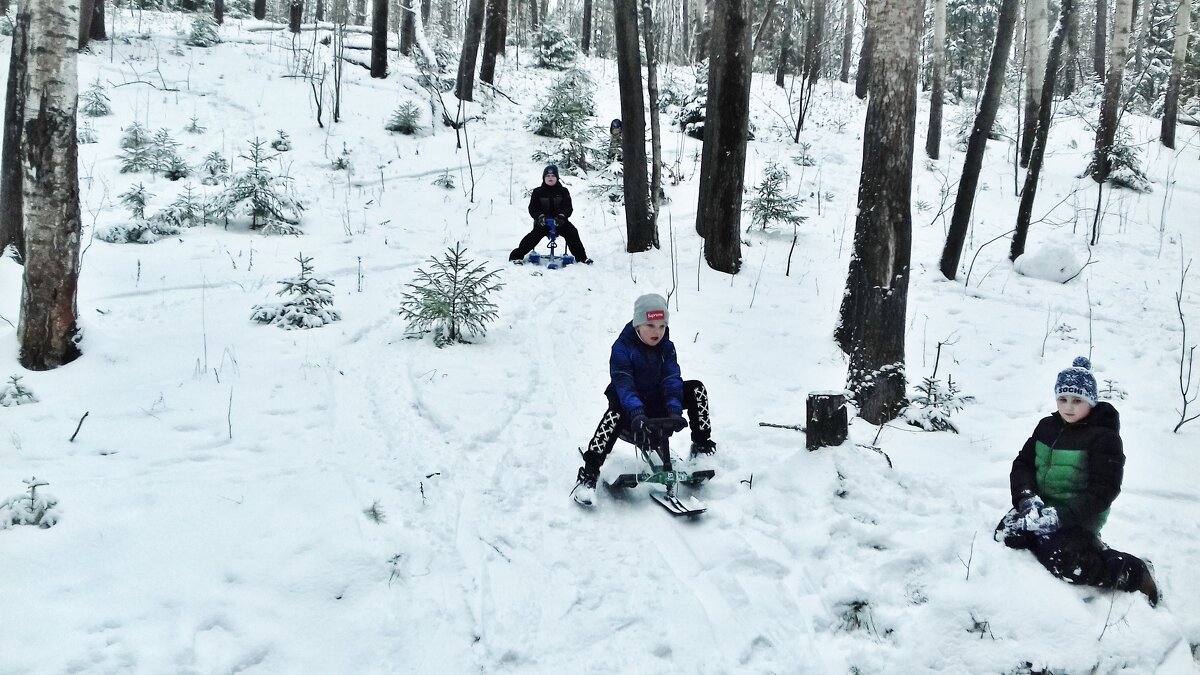 детские забавы - Владимир 