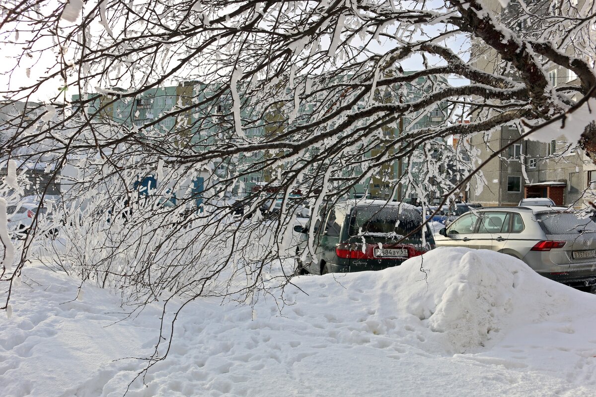 В заснеженном городе - Ольга 