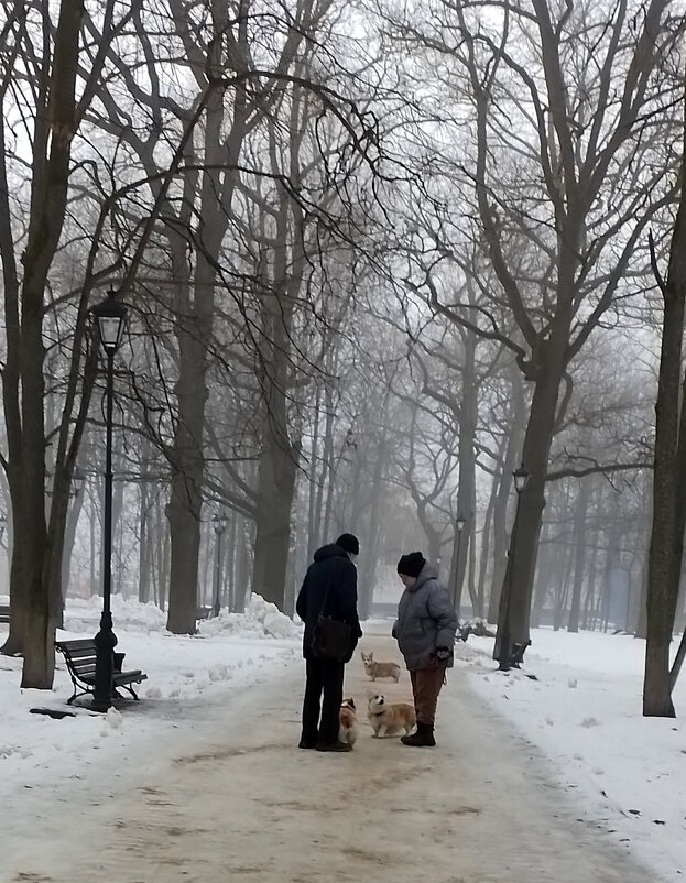 *** - Валентина Береснева