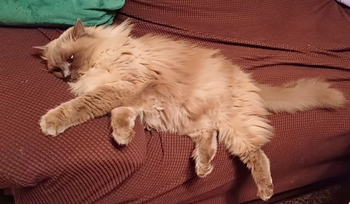 отдых - vladimir отдых - vladimir