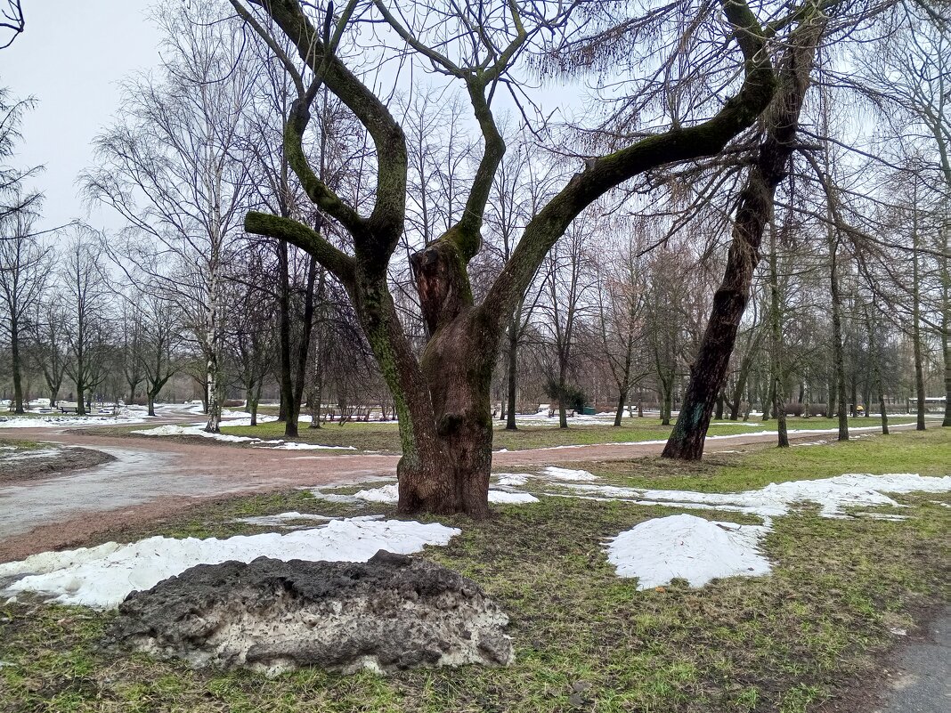 Оттепель - Сапсан 