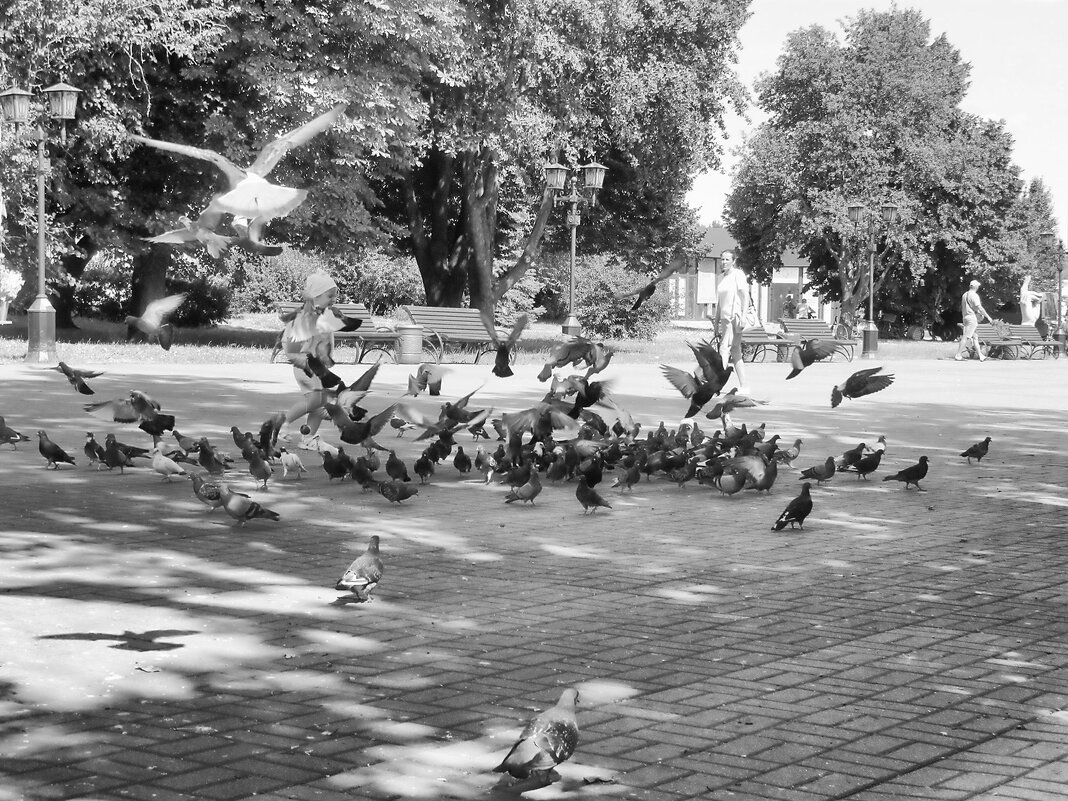 ЧБ фотография - Роман Савоцкий