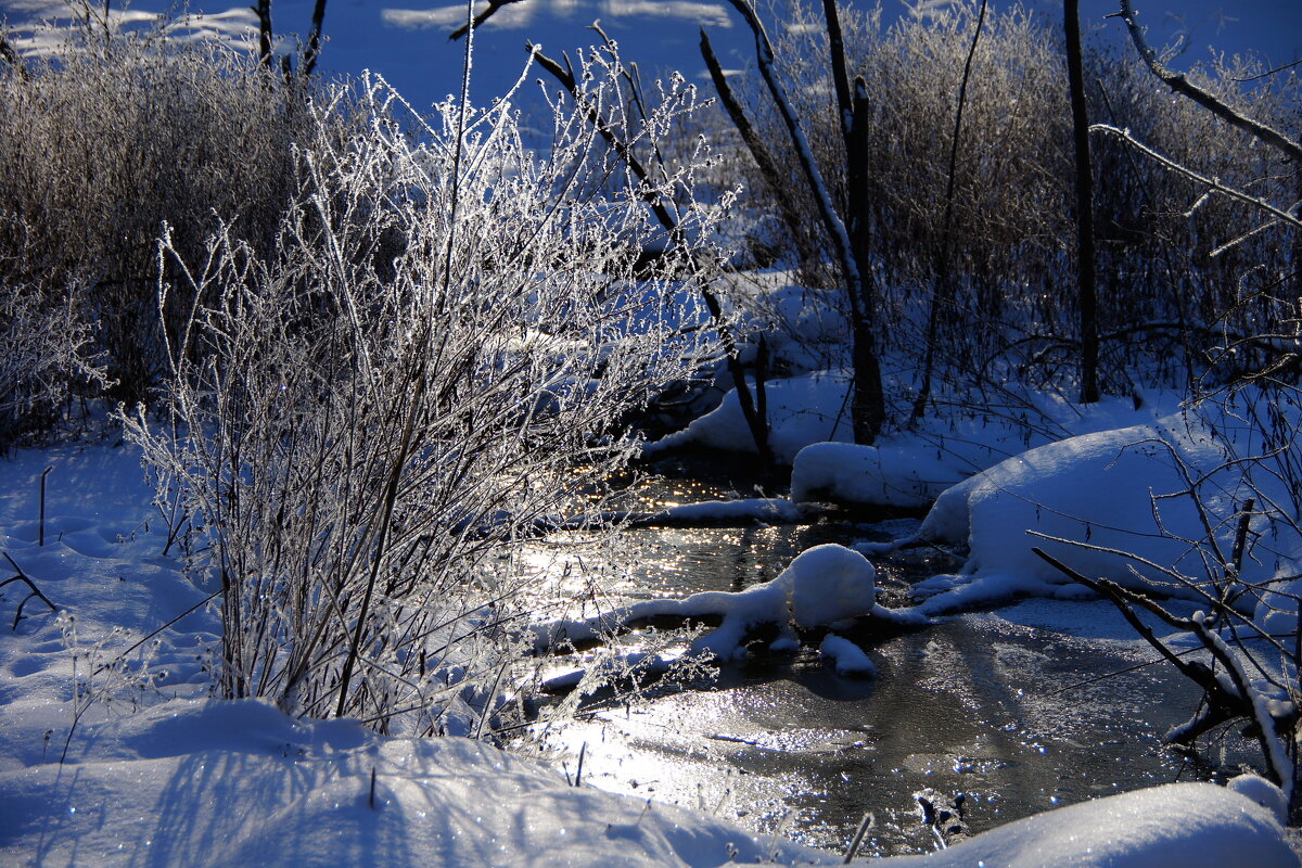 мороз - Ninell Nikitina мороз - Ninell Nikitina