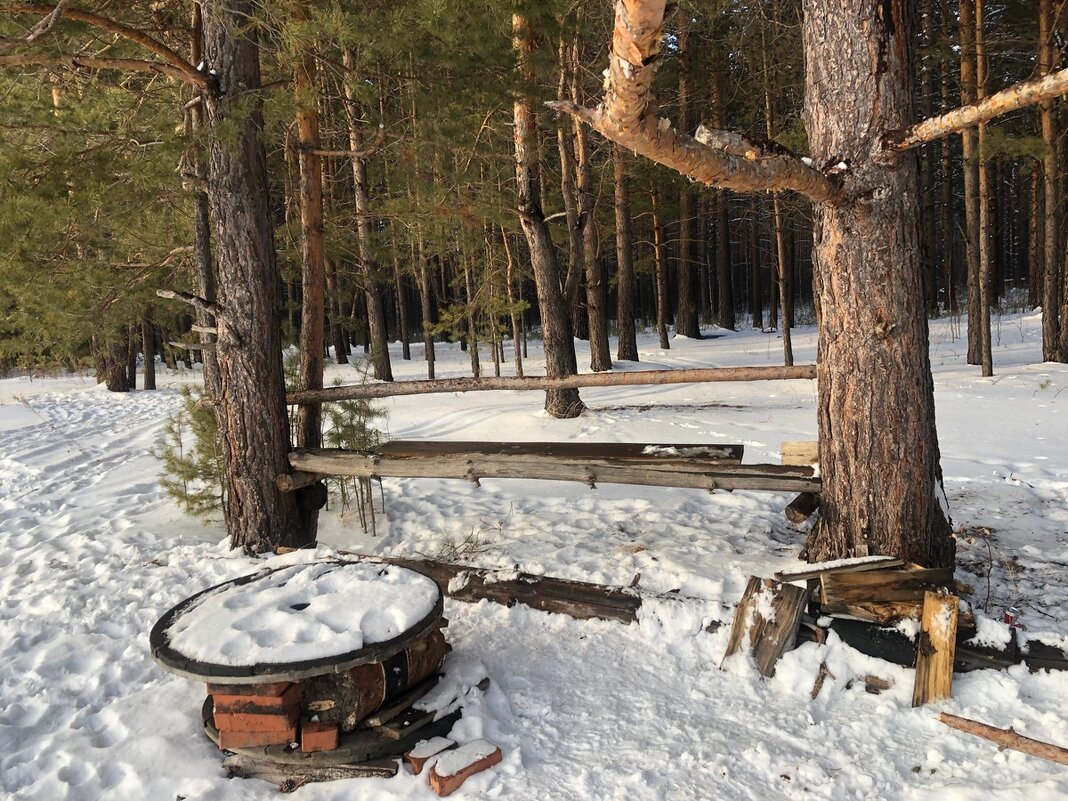 зимний лес - Ольга 