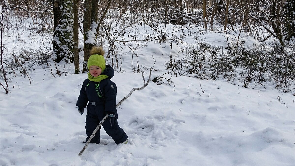 Малыш по имени Максим. - Милешкин Владимир Алексеевич 