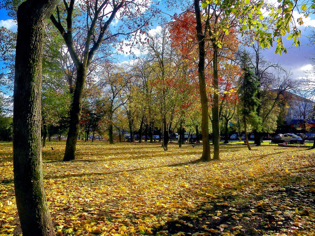 Осень в городе - Роман Савоцкий