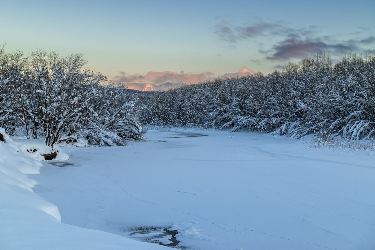 ... - Жора Житников