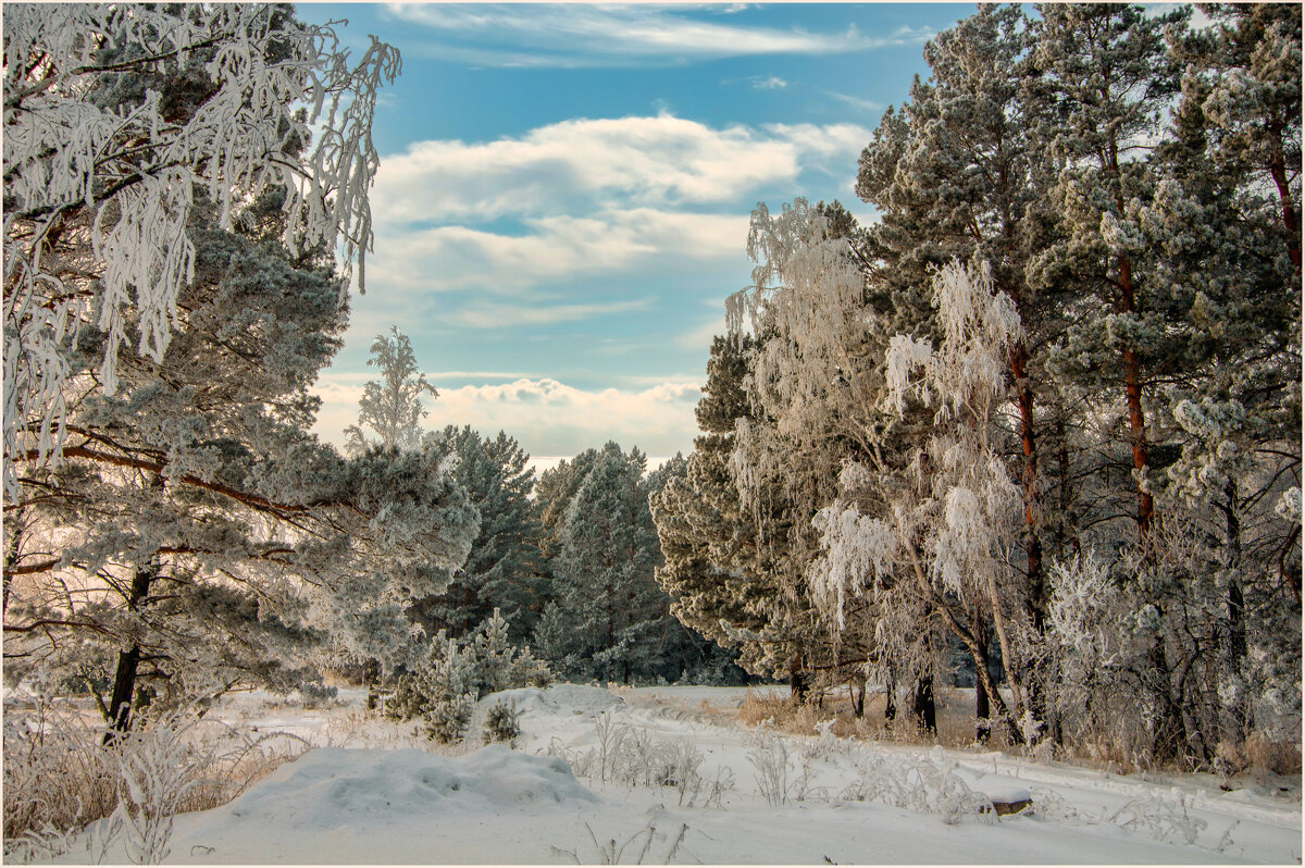Зимнее великолепие... - Алексей Мезенцев