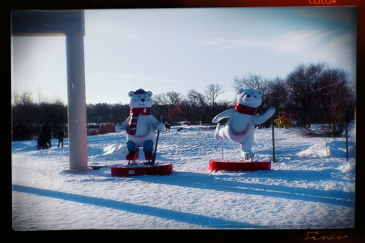Топтыгины около Пкио. - Игорь Солдаткин