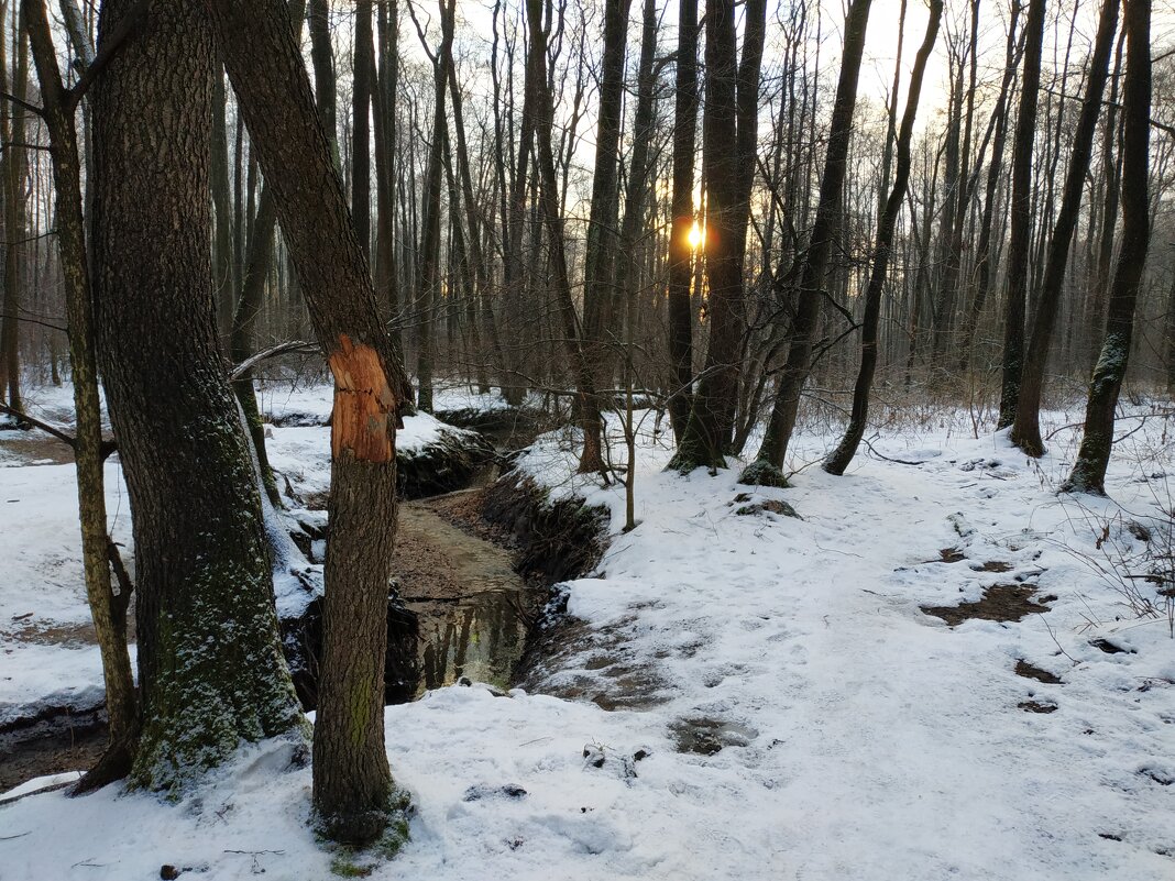 И всё-таки зима - Андрей Лукьянов