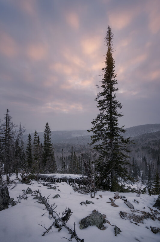 * - Александр Иванов