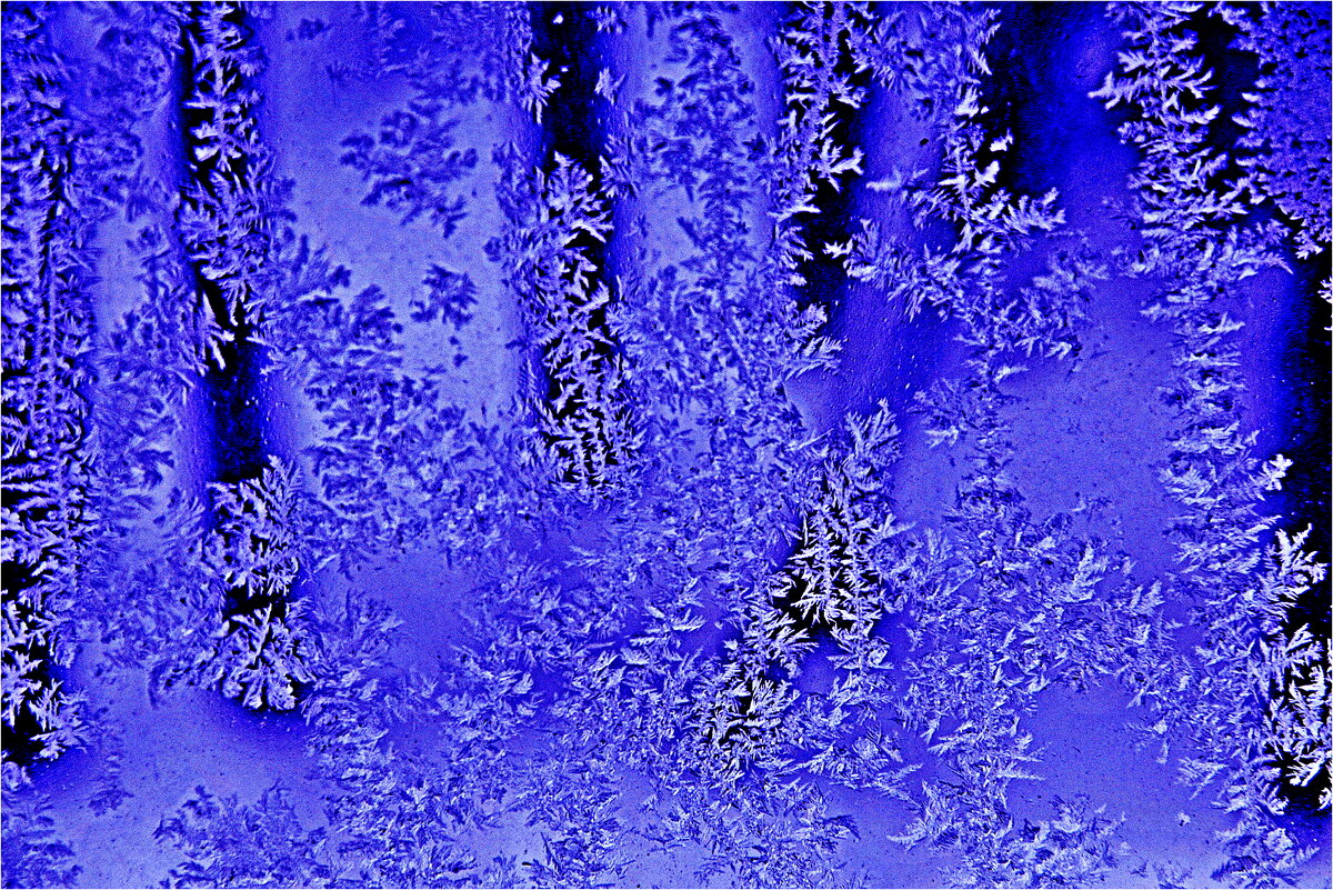 ЗИМА - Юрий Владимирович 34