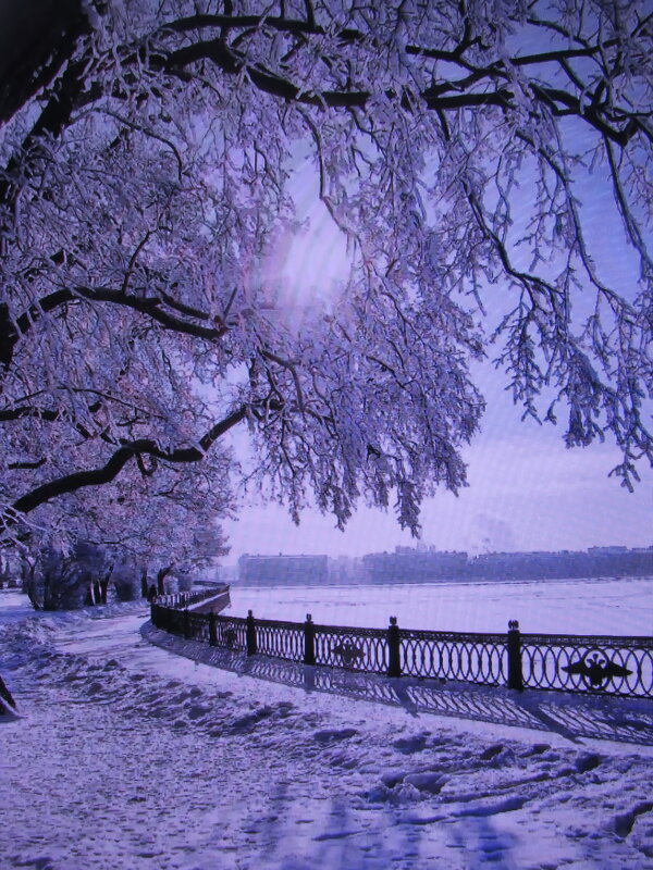 В парке - Людмила Смородинская В парке - Людмила Смородинская
