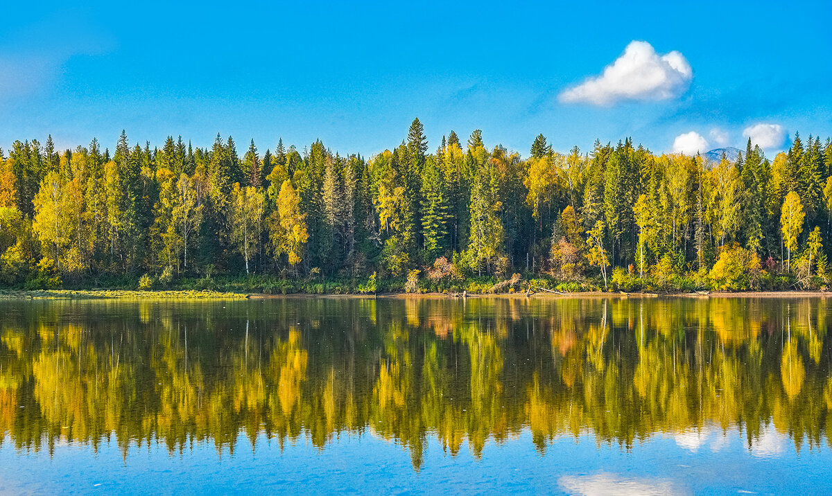 Осень наступает - юрий Амосов