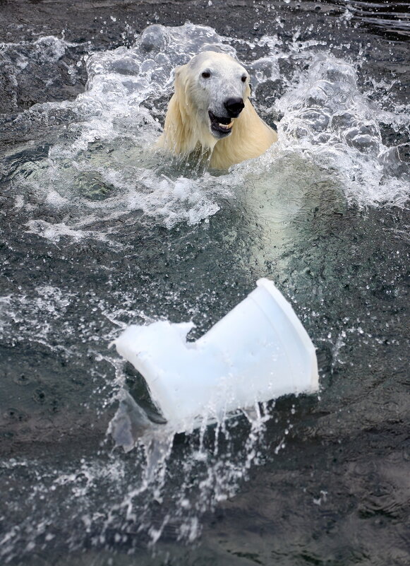 Айка - Михаил Бибичков