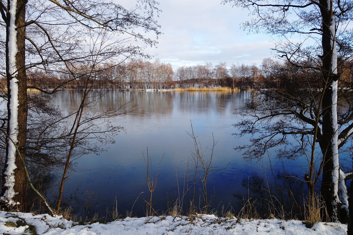 Январь, окрестности Калининграда - Рита Симонова Январь, окрестности Калининграда - Рита Симонова