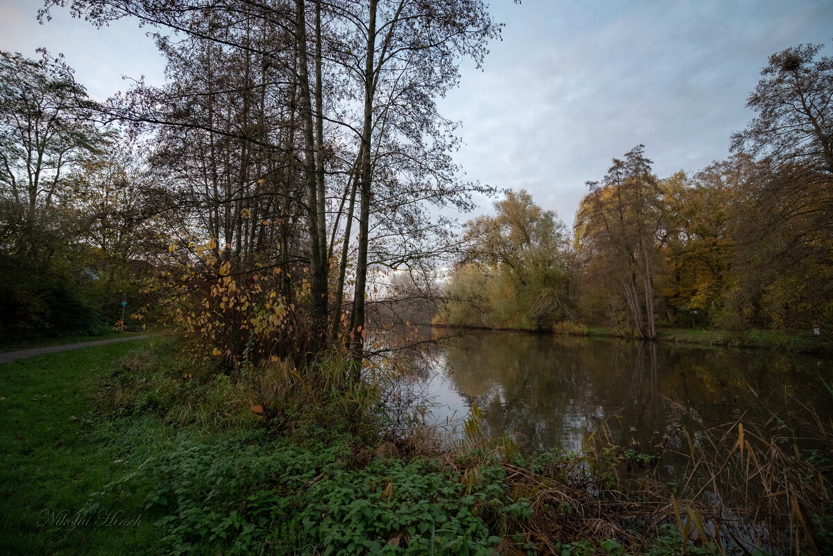 Вокруг пруда... - Николай Гирш Вокруг пруда... - Николай Гирш