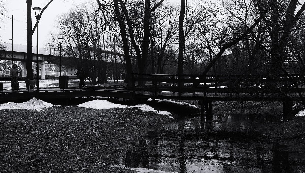Оттепель, пасмурно. - Василий Палий Оттепель, пасмурно. - Василий Палий