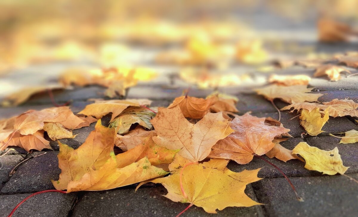 *** - Ирина Via *** - Ирина Via