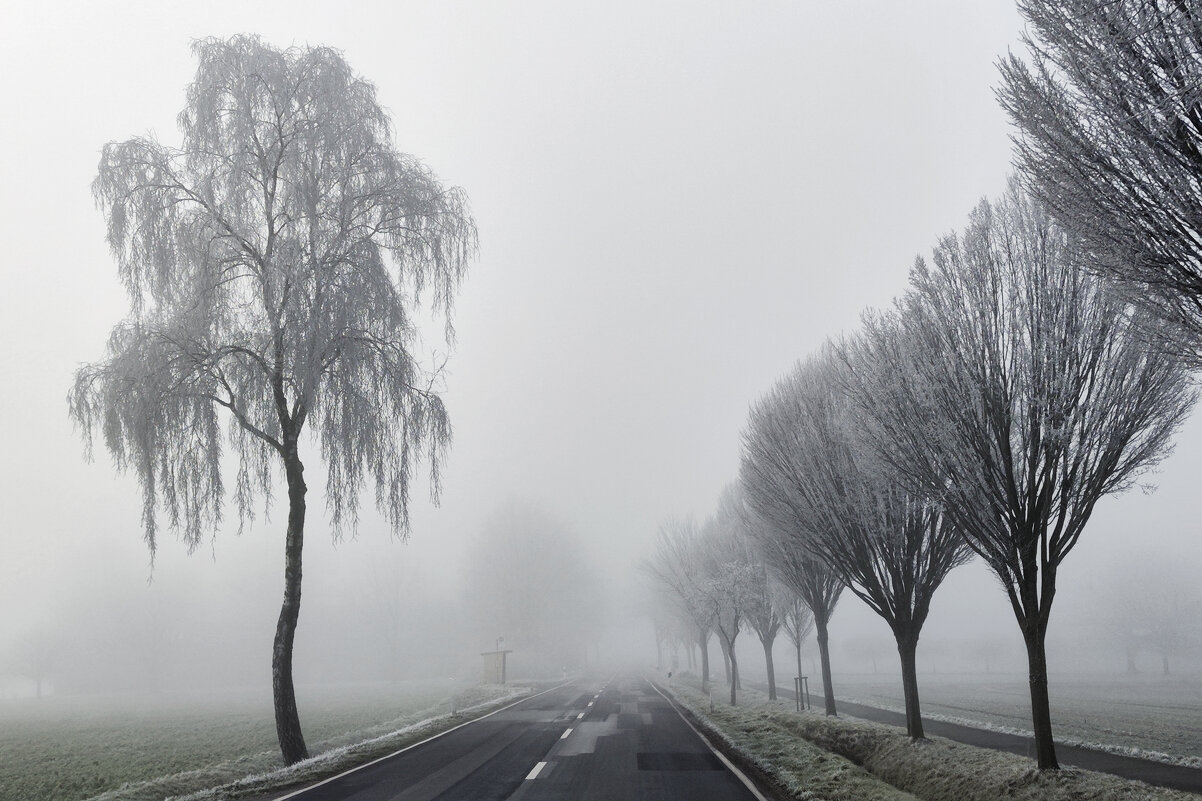 морозным утром - С.Т.Морис морозным утром - С.Т.Морис