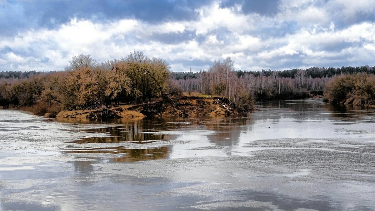 р.Днепр в середине января, снега на берегах нет, льда в воде нет, температуры воздуха+5° - Милешкин Владимир Алексеевич 