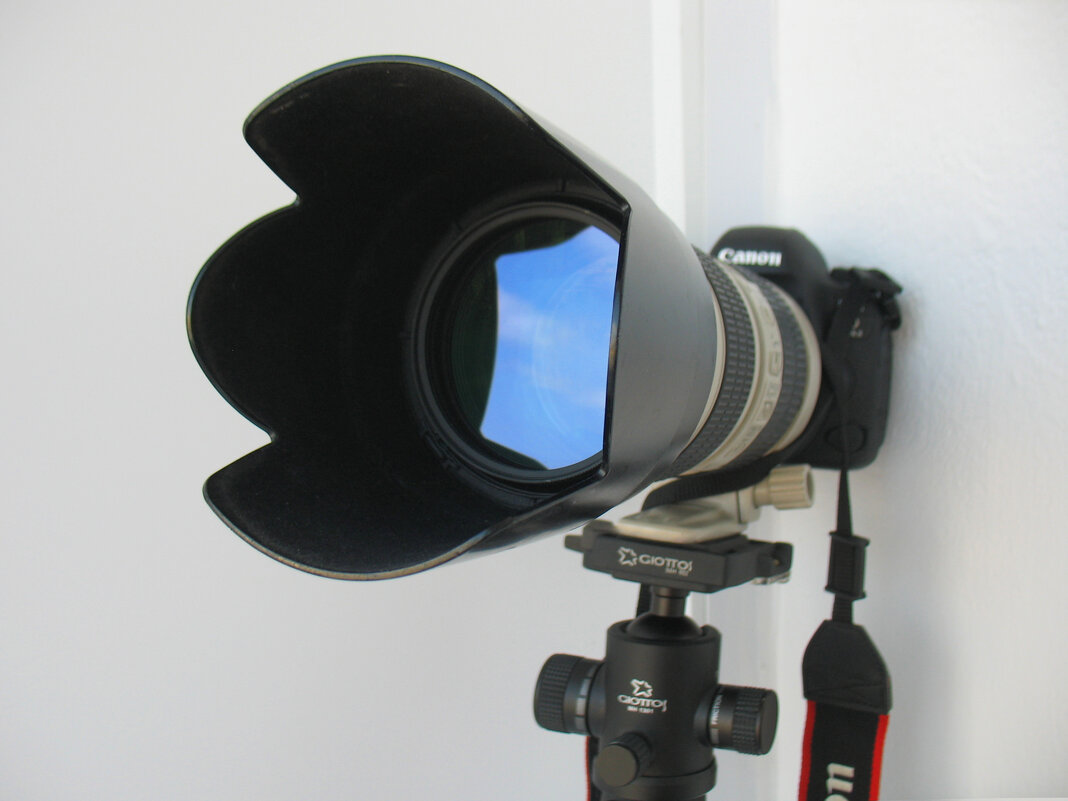 F - Андрей Л. В. F - Андрей Л. В.