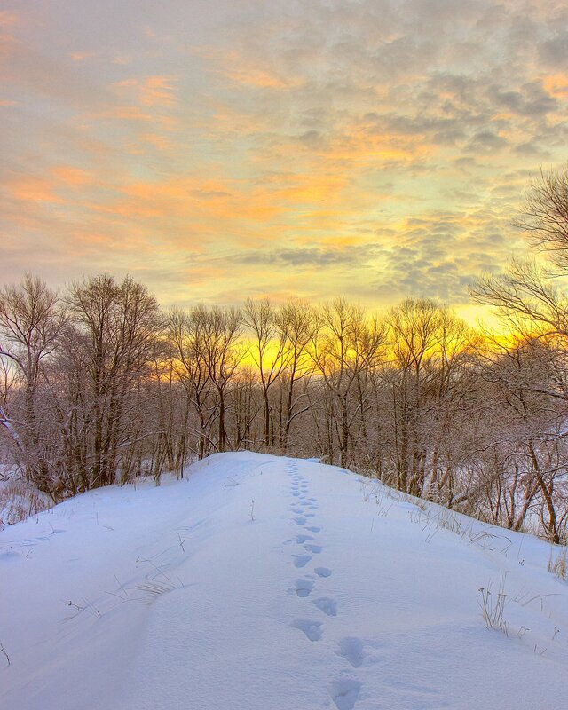 Снежный путь на восход - Юрий Спасенников
