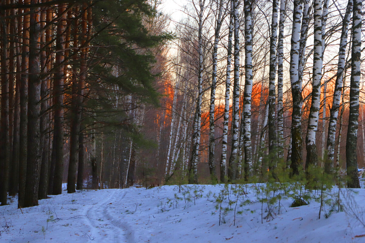 19 января - краснов юрий 19 января - краснов юрий