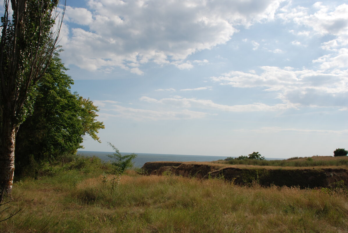 Прекрасные виды природы - Анна Камс Прекрасные виды природы - Анна Камс