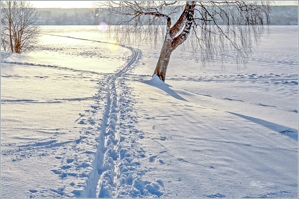 Если хочешь быть здоров... - Aquarius - Сергей