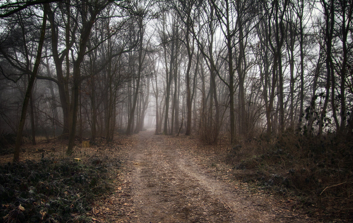 Сегодня туманно - Андроник Александр Сегодня туманно - Андроник Александр