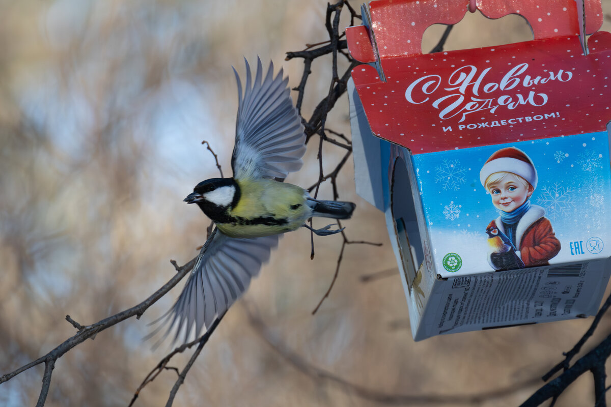 *** - Сергей Брюшинин *** - Сергей Брюшинин