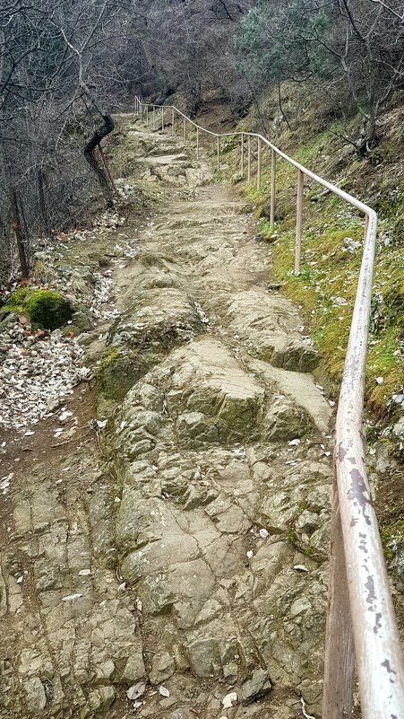 Дорога к храму - Наталья (D.Nat@lia)