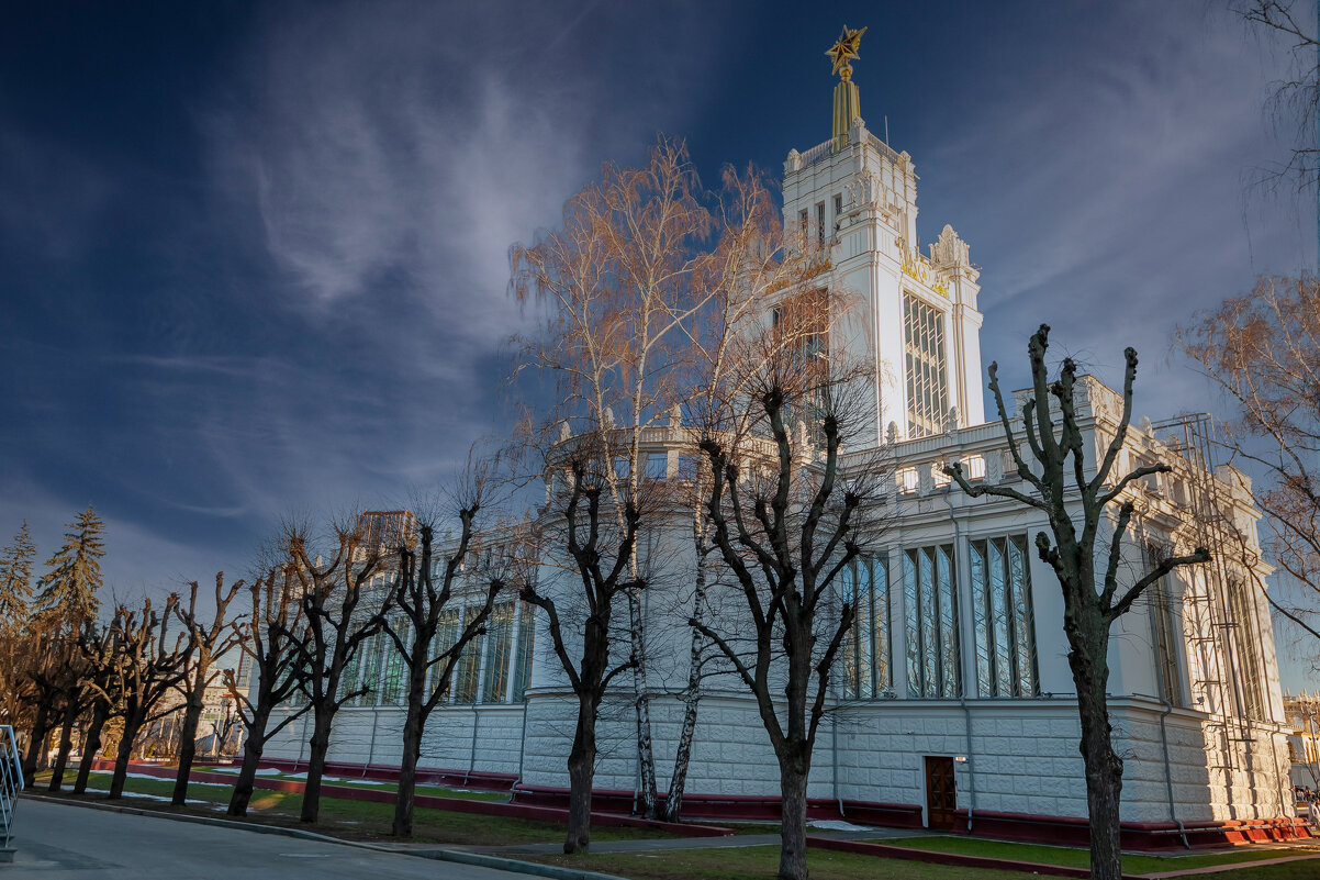 Павильон № 59 «Зерно» на ВДНХ - Игорь Егоров Павильон № 59 «Зерно» на ВДНХ - Игорь Егоров