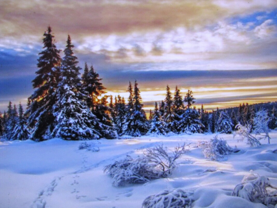 Январским вечером - Людмила Смородинская Январским вечером - Людмила Смородинская