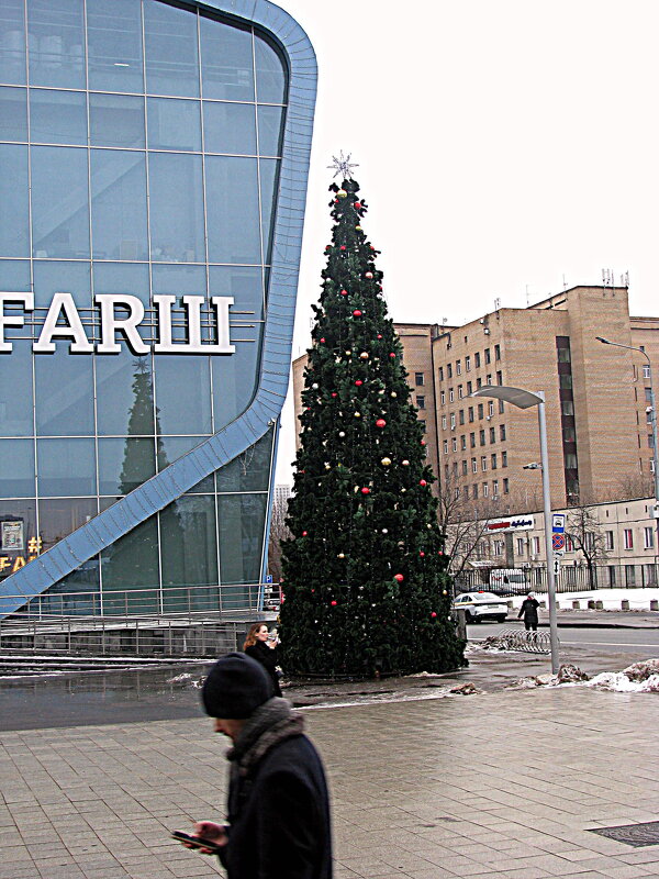 Москва новогодняя. - Владимир Драгунский
