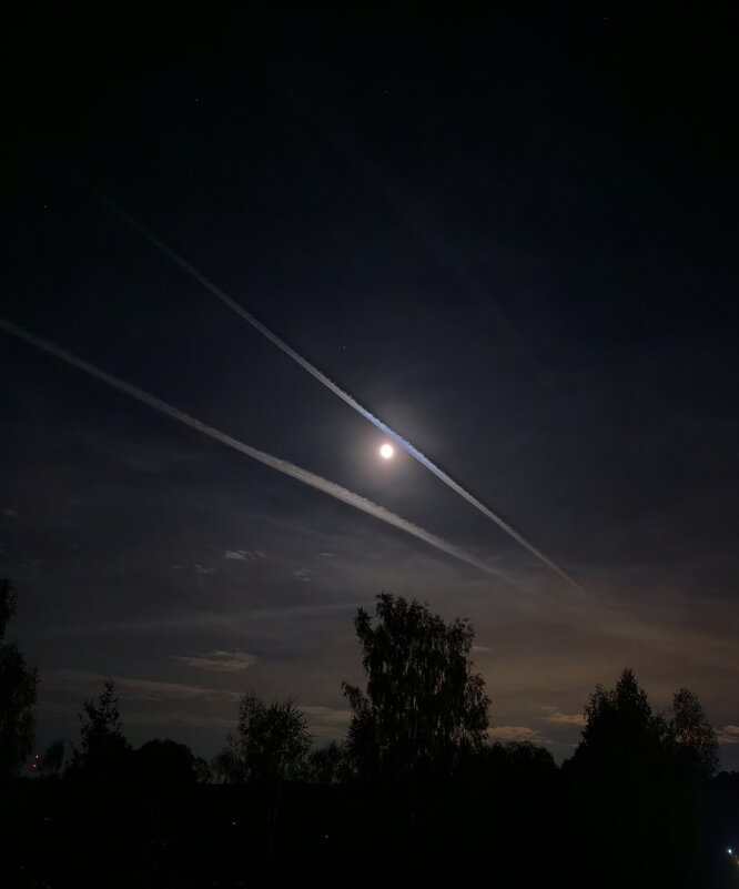 дачное - tatiana 