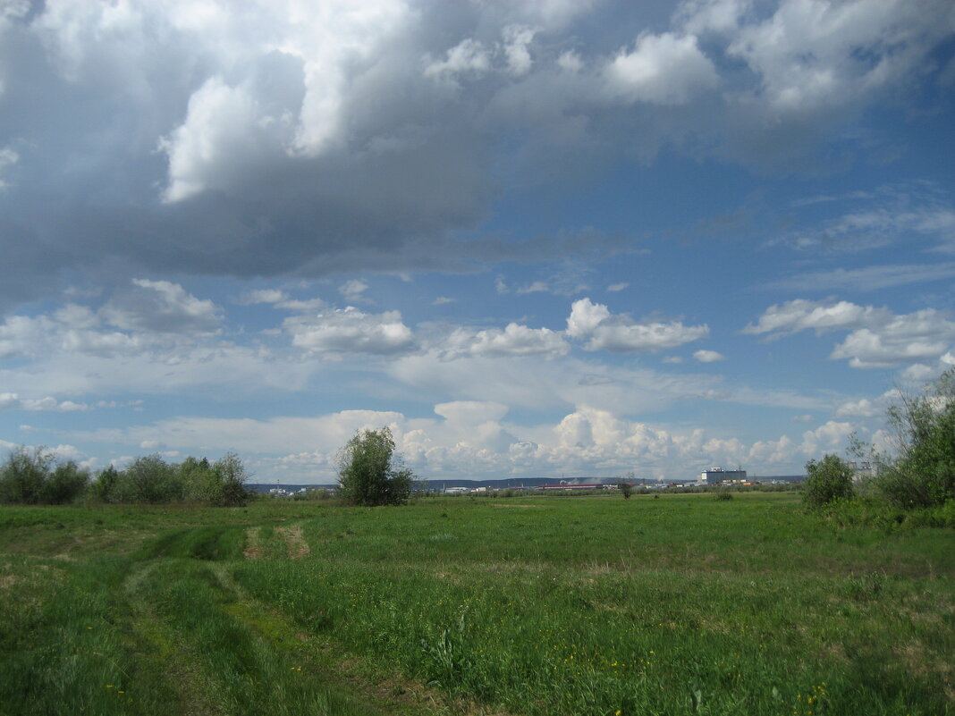 Лето - Anna Ivanova