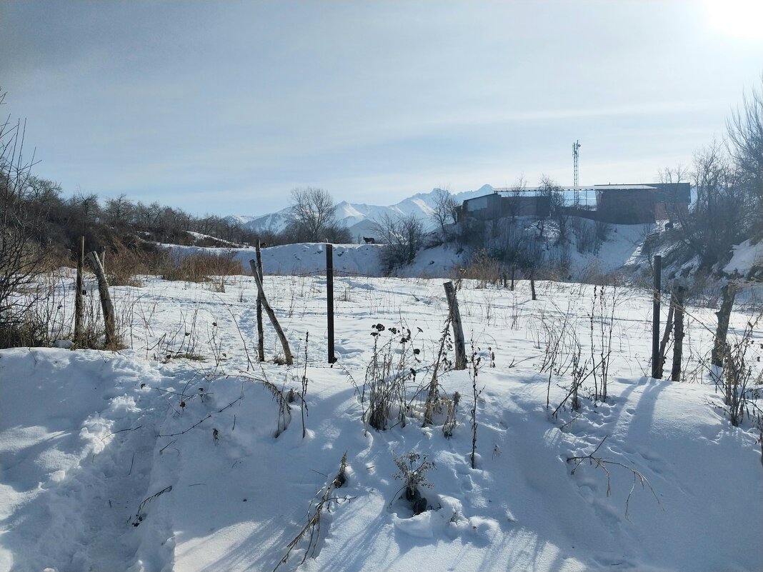 Talgar. - Murat Bukaev 