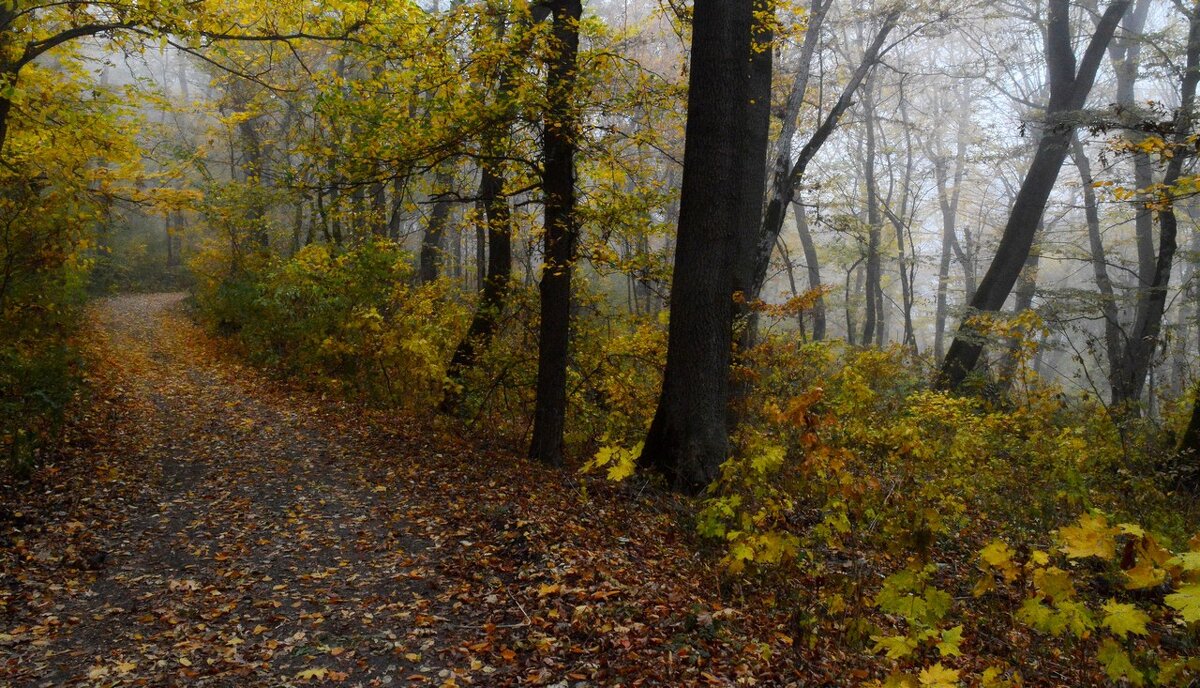 Пути осенние..... - Юрий Цыплятников Пути осенние..... - Юрий Цыплятников