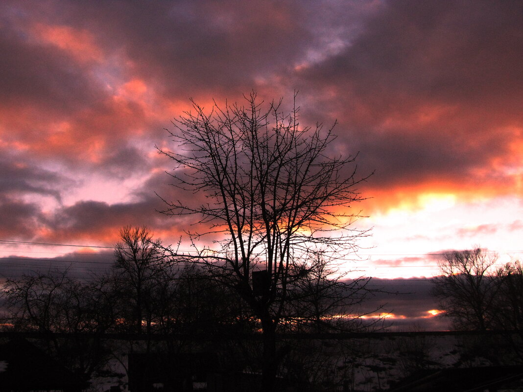Вечером - Людмила Смородинская Вечером - Людмила Смородинская
