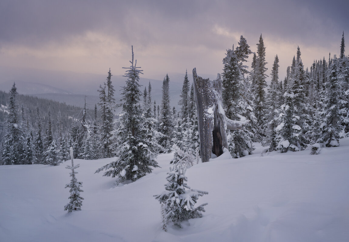 * - Александр Иванов
