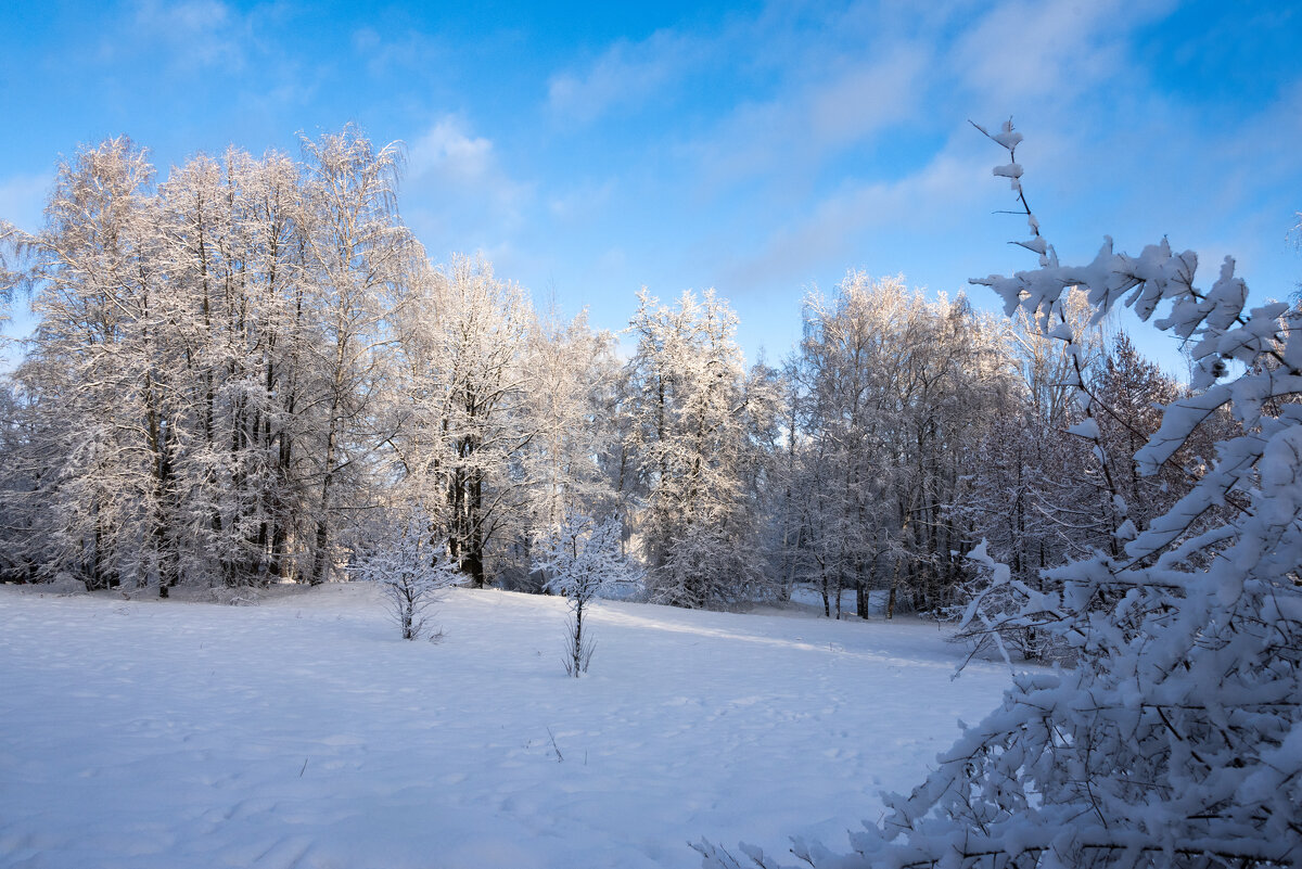 *** - Владимир Безбородов