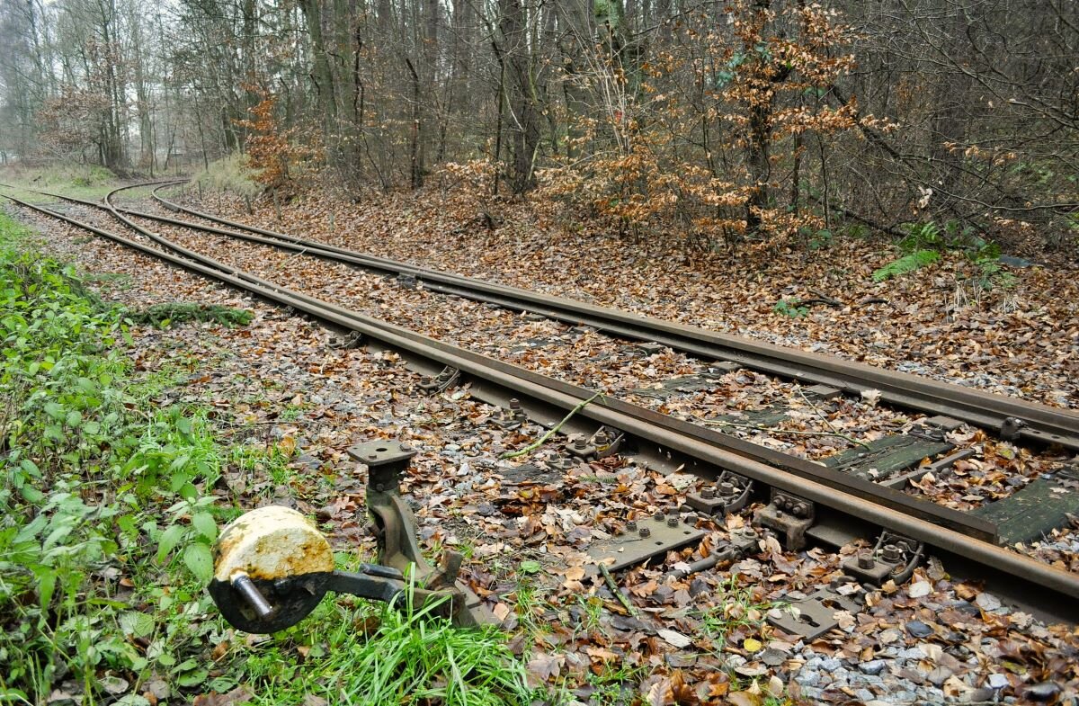 Отработала своё - Галина Шеина-Мюльдорфер