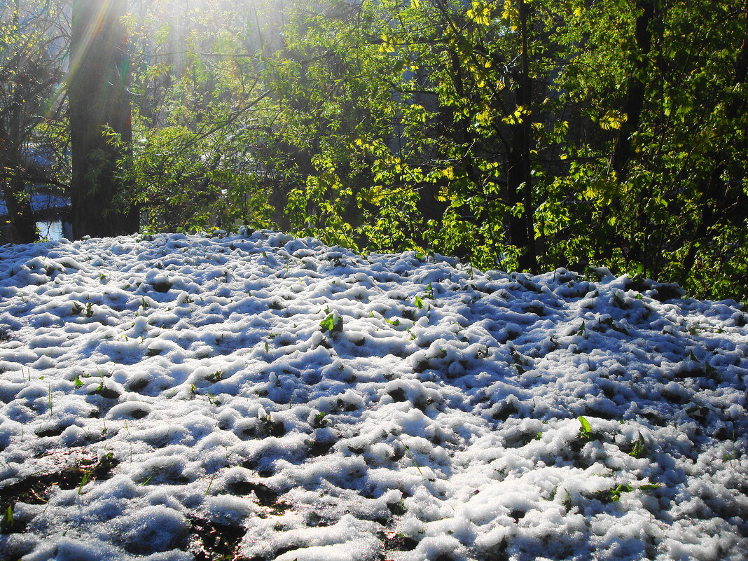 Опять хочу снега. Майское утро в Ростокино - svk * Опять хочу снега. Майское утро в Ростокино - svk *