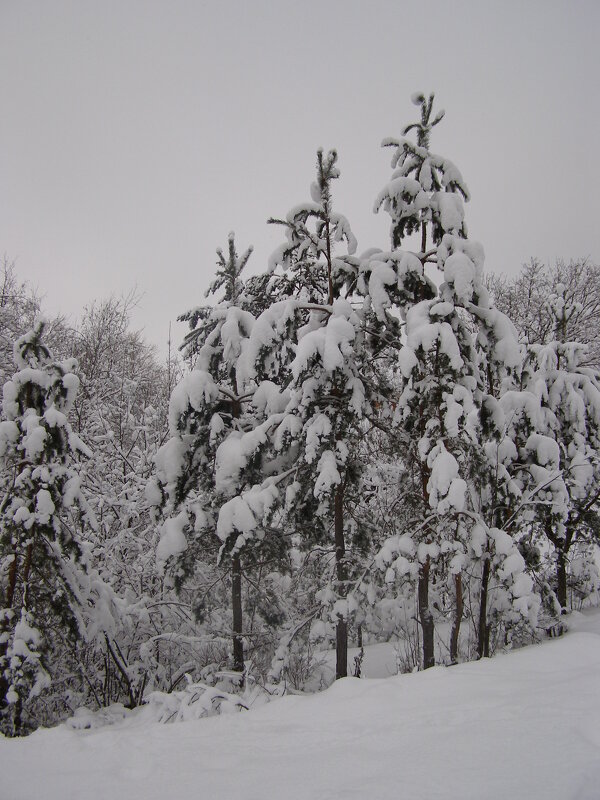 Зима есть. - Николай ntv Зима есть. - Николай ntv