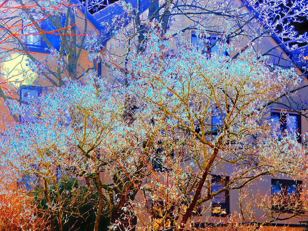 ВИД ИЗ ОКНА. ЯНВАРСКИЙ ИНЕЙ.-4 - Елена Куприянова ВИД ИЗ ОКНА. ЯНВАРСКИЙ ИНЕЙ.-4 - Елена Куприянова